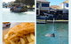 Pirate Ship Lunch Cruise (1.5hr) - thumb 4