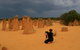 The Pinnacles, Sea And Dunescapes, Bush Reserve And Sunset Day Tour - thumb 1