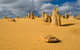 The Pinnacles, Sea And Dunescapes, Bush Reserve And Sunset Day Tour - thumb 0