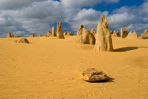 The Pinnacles, Sea And Dunescapes, Bush Reserve And Sunset Day Tour - Nambucca Heads Accommodation 0