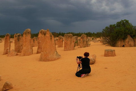The Pinnacles, Sea And Dunescapes, Bush Reserve And Sunset Day Tour - Nambucca Heads Accommodation 5