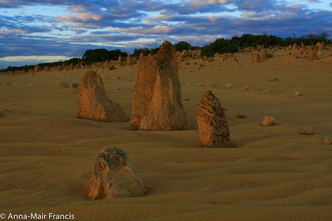 The Pinnacles, Sea And Dunescapes, Bush Reserve And Sunset Day Tour - Nambucca Heads Accommodation 7