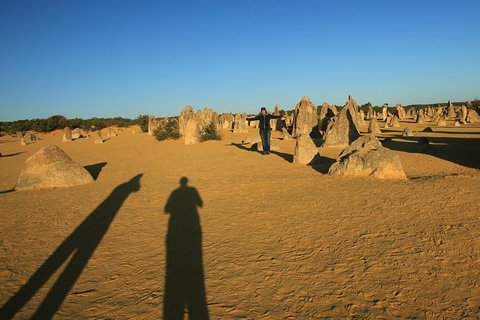 The Pinnacles, Sea And Dunescapes, Bush Reserve And Sunset Day Tour - Nambucca Heads Accommodation 4