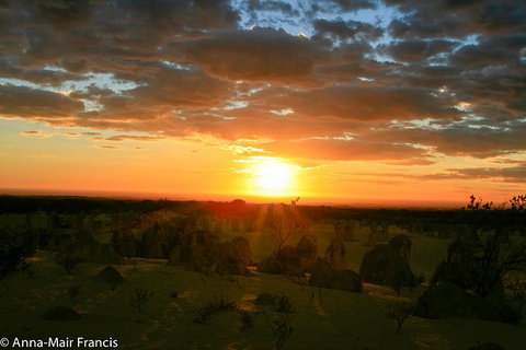 The Pinnacles, Sea And Dunescapes, Bush Reserve And Sunset Day Tour - Nambucca Heads Accommodation 6