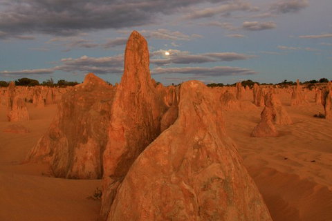 The Pinnacles, Sea And Dunescapes, Bush Reserve And Sunset Day Tour - Nambucca Heads Accommodation 3