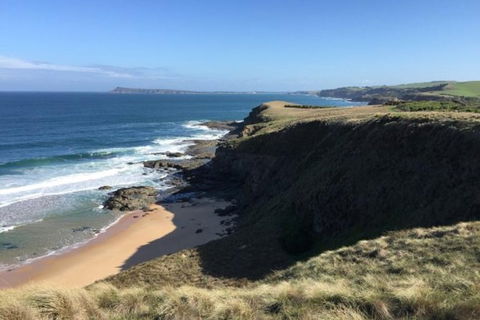 George Bass Coastal Walk - Nambucca Heads Accommodation 1