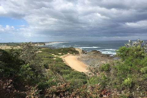 George Bass Coastal Walk - Nambucca Heads Accommodation 7
