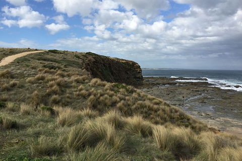 George Bass Coastal Walk - Nambucca Heads Accommodation 8