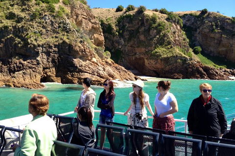 Cape Woolamai Sightseeing Cruise From San Remo - Nambucca Heads Accommodation 1