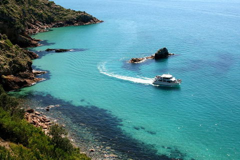 Cape Woolamai Sightseeing Cruise From San Remo - Nambucca Heads Accommodation 3