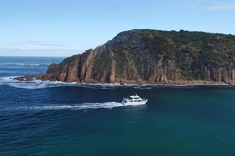 Cape Woolamai Sightseeing Cruise From San Remo - Nambucca Heads Accommodation 2