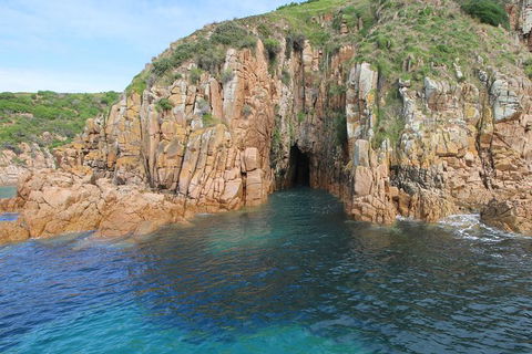 Cape Woolamai Sightseeing Cruise From San Remo - Nambucca Heads Accommodation 4