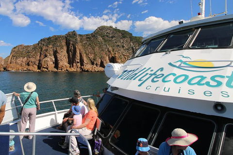 Cape Woolamai Sightseeing Cruise From San Remo - Nambucca Heads Accommodation 9