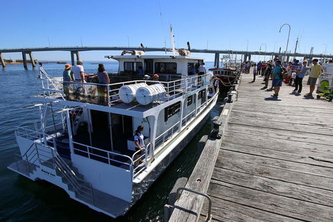 Cape Woolamai Sightseeing Cruise From San Remo - Nambucca Heads Accommodation 7