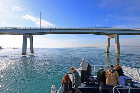 Cape Woolamai Sightseeing Cruise From San Remo - Nambucca Heads Accommodation 5