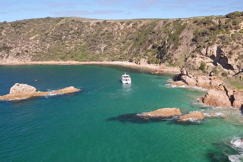 Cape Woolamai Sightseeing Cruise From San Remo - Nambucca Heads Accommodation 6