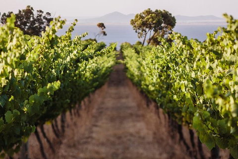 Helicopter Winery & Lunch Tour - Nambucca Heads Accommodation 0