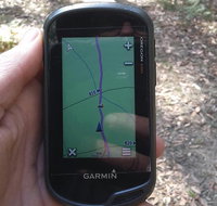 GPS guided walks in the Daylesford Forest - Nambucca Heads Accommodation