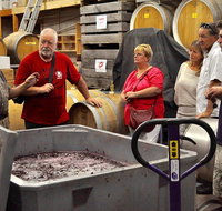 5 Hour Private Wine Tour - Nambucca Heads Accommodation