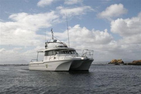 Bonnet Island Experience Departing From Strahan - Nambucca Heads Accommodation 1