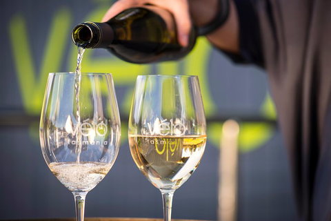 Half Day Tamar Valley Wine Tour - Nambucca Heads Accommodation 3
