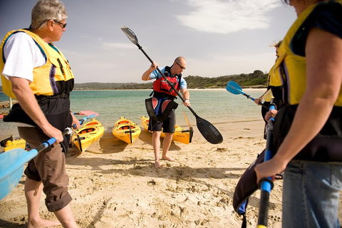 The Freycinet Paddle - Nambucca Heads Accommodation 7