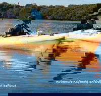 Adelaide Dolphin Sanctuary and Ships Graveyard Kayak Tour - Nambucca Heads Accommodation