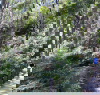 Self-Guided Waterfall Gully to Mount Lofty Hike from Adelaide - Nambucca Heads Accommodation