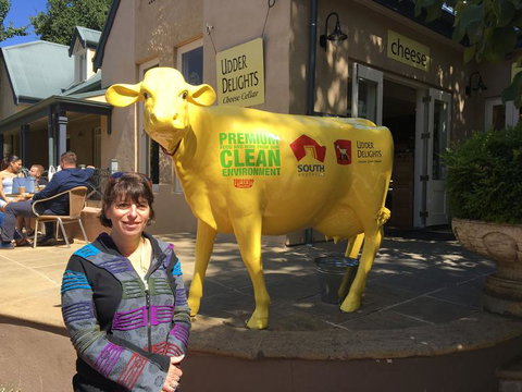 Adelaide Hills And Hahndorf Tour From Adelaide With Wine And Cheese Tasting - Nambucca Heads Accommodation 2