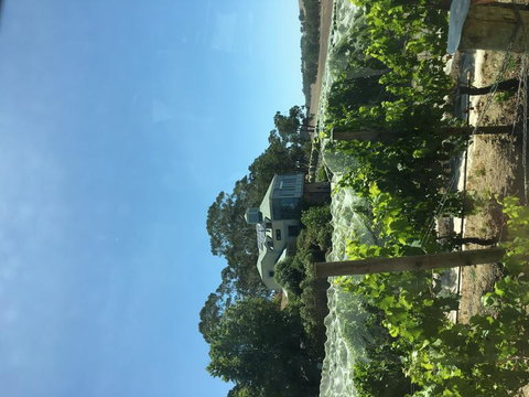 Adelaide Hills And Hahndorf Tour From Adelaide With Wine And Cheese Tasting - Nambucca Heads Accommodation 7