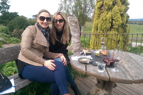 McLaren Vale Intimate Winery Tour By Private Limo - Nambucca Heads Accommodation 7