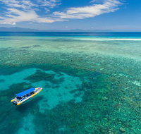 Ocean Safari Great Barrier Reef Experience in Cape Tribulation - Nambucca Heads Accommodation