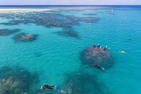 Ocean Safari Great Barrier Reef Experience In Cape Tribulation - Nambucca Heads Accommodation 12