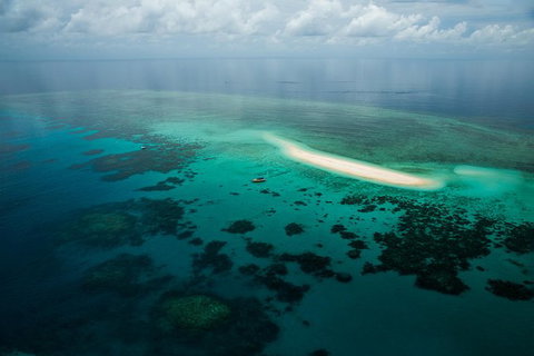 Ocean Safari Great Barrier Reef Experience In Cape Tribulation - Nambucca Heads Accommodation 16