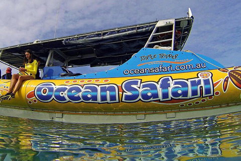 Ocean Safari Great Barrier Reef Experience In Cape Tribulation - Nambucca Heads Accommodation 8