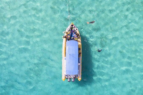 Ocean Safari Great Barrier Reef Experience In Cape Tribulation - Nambucca Heads Accommodation 17