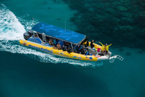 Ocean Safari Great Barrier Reef Experience In Cape Tribulation - Nambucca Heads Accommodation 9