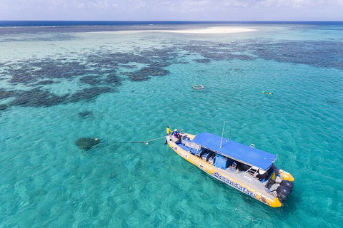 Ocean Safari Great Barrier Reef Experience In Cape Tribulation - Nambucca Heads Accommodation 11