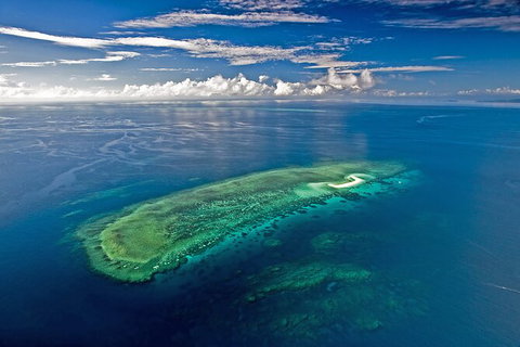 Ocean Safari Great Barrier Reef Experience In Cape Tribulation - Nambucca Heads Accommodation 15