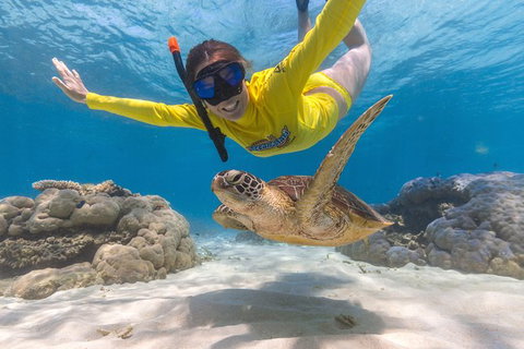 Ocean Safari Great Barrier Reef Experience In Cape Tribulation - Nambucca Heads Accommodation 2