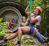Cape Tribulation Jungle Surfing Canopy Tour - Nambucca Heads Accommodation