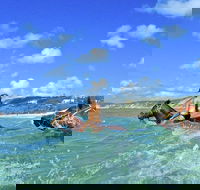 Horse Swimming Ride from Rainbow Beach - Nambucca Heads Accommodation