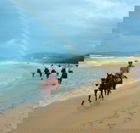 Rainbow Beach Horse Ride - Nambucca Heads Accommodation