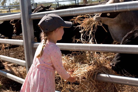 Mackay Farm Food And Flavours Tour - Nambucca Heads Accommodation 0