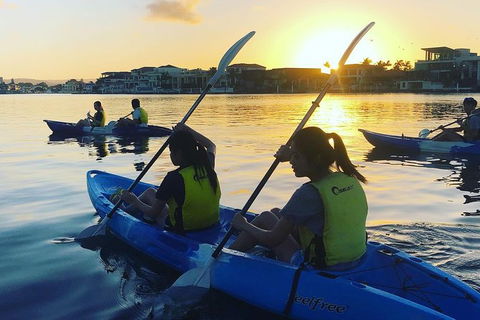 Surfers Paradise Sunset Kayak Tour - Nambucca Heads Accommodation 8