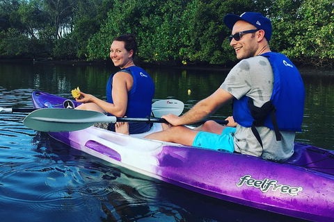 Surfers Paradise Sunset Kayak Tour - Nambucca Heads Accommodation 10