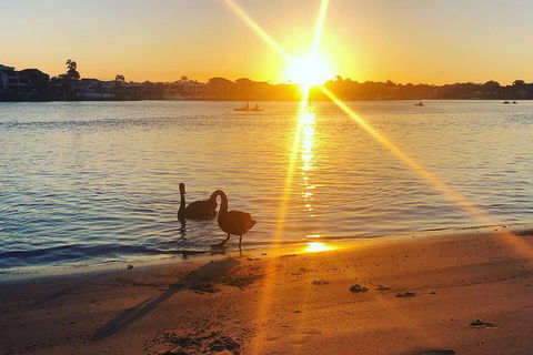 Surfers Paradise Sunset Kayak Tour - Nambucca Heads Accommodation 9