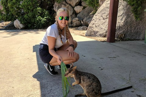 Magnetic Island Tour: Maggie Comprehensive - Nambucca Heads Accommodation 9