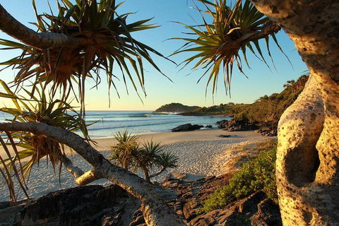 Overnight Tweed Coast Camping And Surfing Getaway From The Gold Coast - Nambucca Heads Accommodation 1