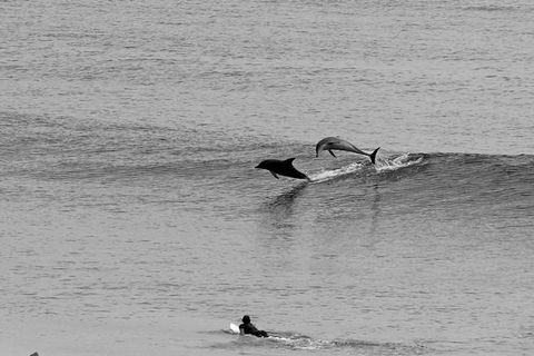 Overnight Tweed Coast Camping And Surfing Getaway From The Gold Coast - Nambucca Heads Accommodation 2